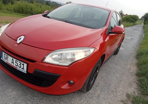 Renault Megane cena 19900 przebieg: 245760, rok produkcji 2009 z Ziębice małe 667